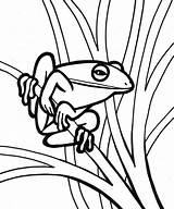 Coloring Pages Procoloring Frog Print sketch template
