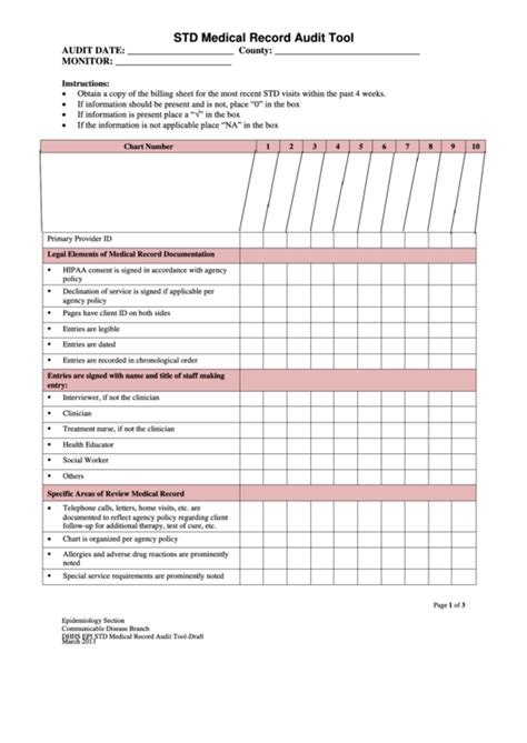 medical record audit tool template