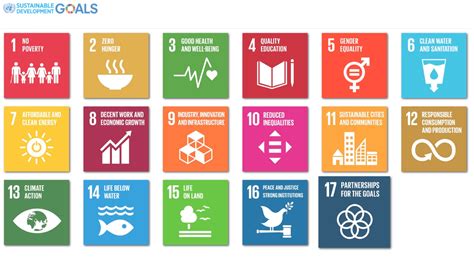 sustainable development goals put  global spotlight  local action