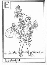 Coloring Pages Flower Alphabet Fairy Fairies Printable Kids Letter Choose Board Numbers sketch template