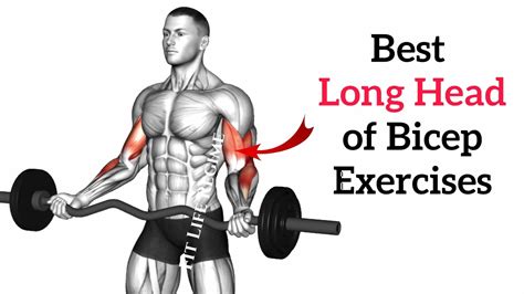 band bicep exercises cheapest clearance save  jlcatjgobmx