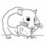 Hamster Coloring Pages Printable Color Print Colouring Hamsters Cute Animals Kids Pets Related Posts sketch template