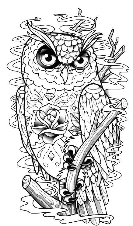 owl coloring page coloring pages  adults printables  freebies