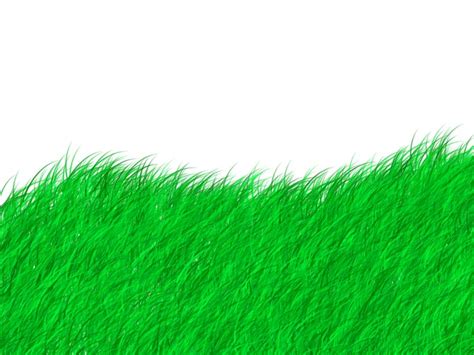 learn psd graphic design classes  education draw natural grass
