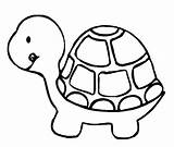 Tortugas Tortoise Tortuga Traceable Cliparts Infantil Childrencoloring Animalitos Tartaruga sketch template