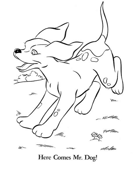 pet coloring pages  kids coloring home
