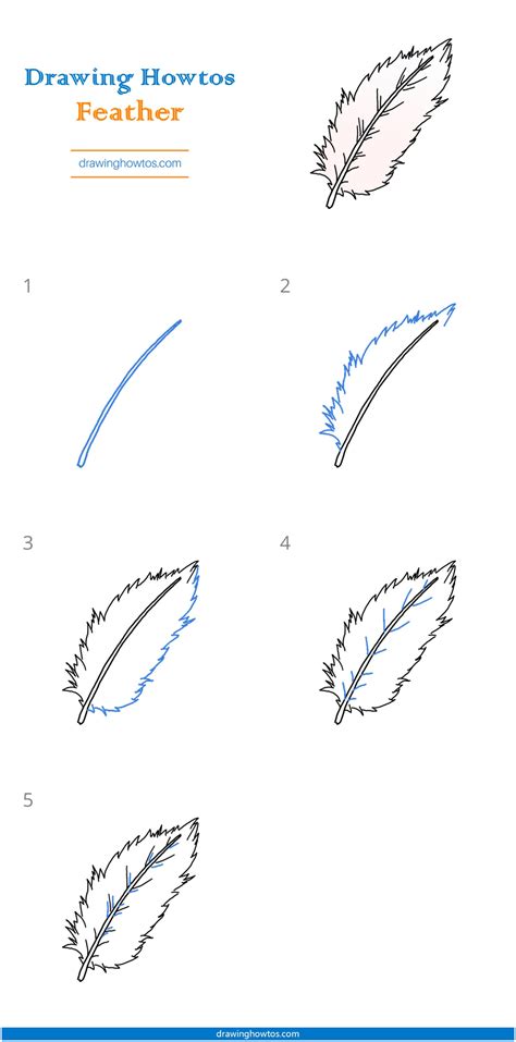 How To Draw A Feather Step By Step