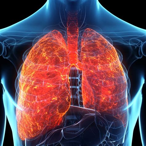 chronic obstructive pulmonary disease chasing  cure