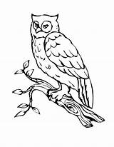Owl Printable Coloring Pages Kids Owls Color Birds Adult Adults Stencil Templates Book Print Books Bestcoloringpagesforkids sketch template