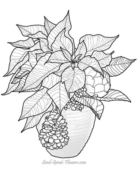 christmas flowers colouring pages printable christmas coloring pages