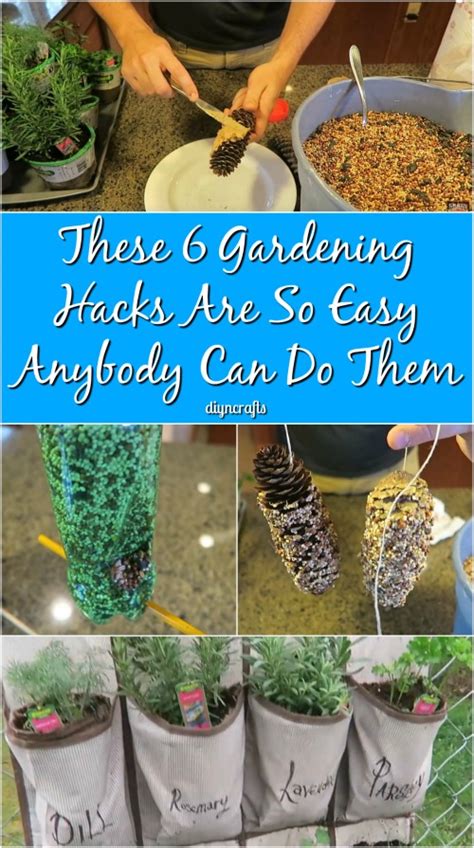 these 6 gardening hacks are so easy anybody can do them diy and crafts