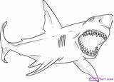 Shark Coloring Great Draw Pages Megalodon Drawing Step Drawings Color Sharks Fish Easy Desenho Sheet Colouring Sheets Para Dragoart Animals sketch template