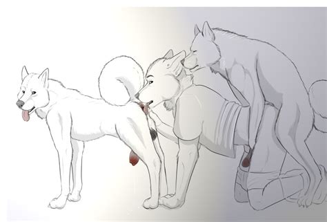 Rule 34 Akita Anal Anal Sex Anthro Anthro On Feral Anus Balls