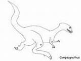 Coloring Compsognathus Dinosaur Pages Dinosaurs sketch template