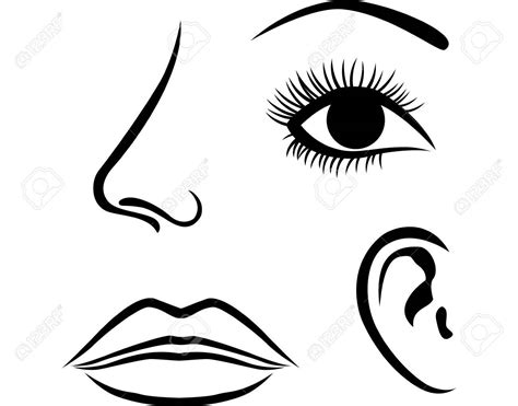 eyes nose lips coloring pages