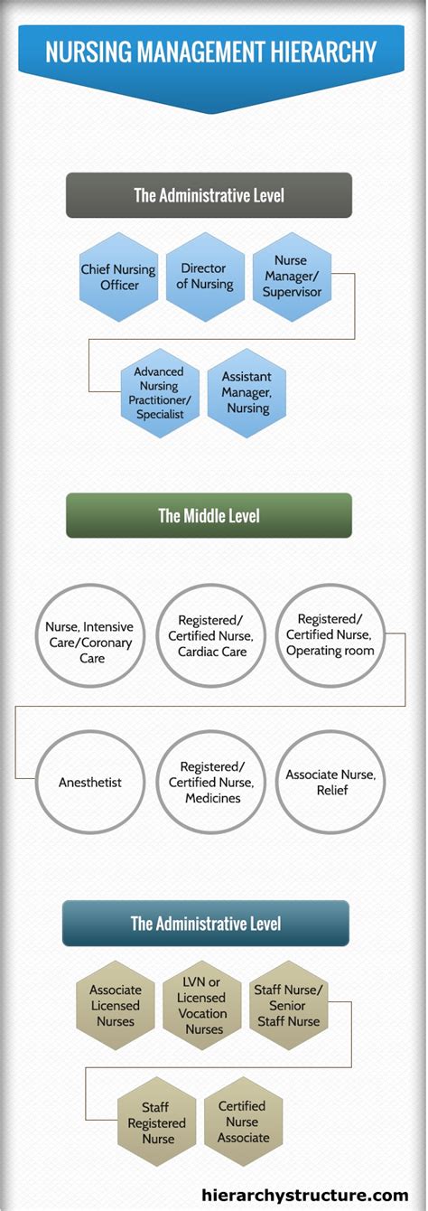 nursing management hierarchy structure system hierarchy structure