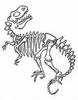 Dino Bones Dinosaurios Tyrannosaurus Fossil Dinosaurs Dinosaurus Dinosaurier Esqueleto Dinosaure Skelett Squelette Dinosaurio Coloriage Skelet Malvorlagen Fossile Topcoloringpages Dibujo Fossils sketch template