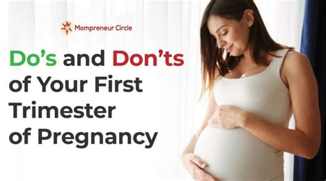 Precautions To Take During The First Trimester Of Pregnancy Do’s And