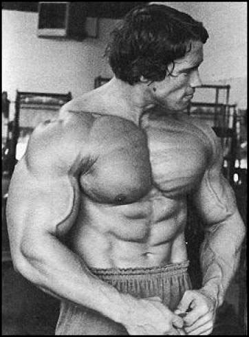 arnold schwarzenegger bodybuilding pictures small words   tall fool