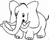 Elefant Vorne Malvorlage Ausmalbilder Weitere sketch template
