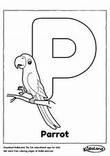 Coloring Alphabet Worksheets Pages Kids Worksheet Kidloland Birds Printable sketch template