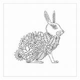 Basford Johanna Coloring Books Rabbit Freecoloringpages Via sketch template