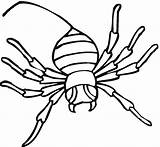 Spider Coloring Pages Widow Printable Kids Clipart Gif Bestcoloringpagesforkids sketch template