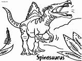 Spinosaurus Colouring sketch template