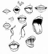 Step Drawing Lip Mouth Open Drawings Getdrawings sketch template