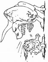 Coloring Dinosaur Roaring Caveman sketch template