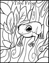 Coloring Frog Tree Eyed Red Pages Print Getcolorings Frogs sketch template