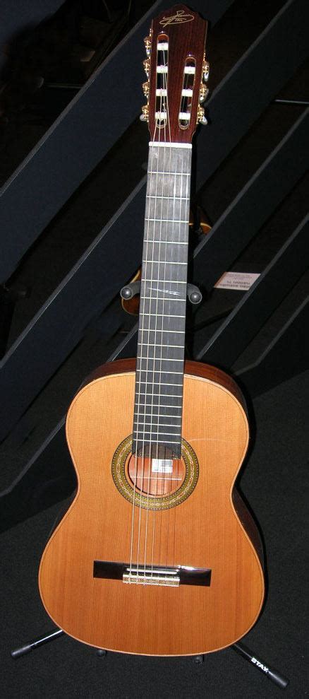 string guitar alchetron   social encyclopedia