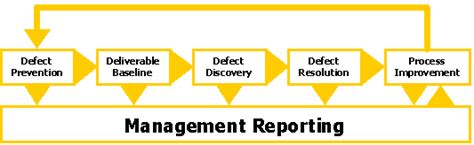 defect management process