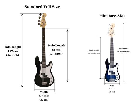 What Size Bass Guitar Should I Get Mozart Project
