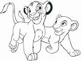 Lion Baby Pages Coloring Printable Getcolorings Color King sketch template
