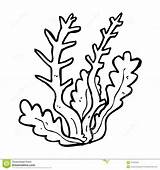Seaweed Coloring Pages Kids Print Color sketch template