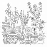 Plant Coloring Pots Pages Printable X19 Poster Choose Board Sheets Flower Drawing sketch template