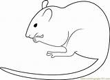 Rat Albino Mice Coloringpages101 Designlooter sketch template