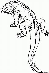 Lizard Coloring Pages Reptile Printable Kids Outline Colouring Print Color Salamander Gecko Drawing Sheets Long Reptiles Realistic Tail Lizards Monitor sketch template