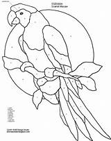 Stained Macaw Parrot Ausmalbilder Vitray Oiseau Owl Blown Intarsia Patron Hummingbird Coloringhome sketch template