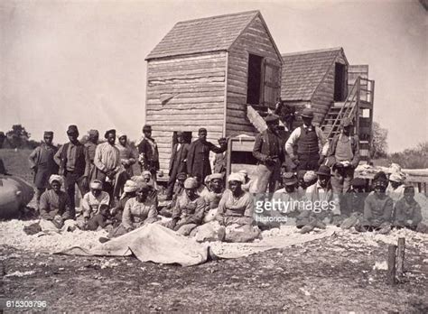 A Group Of Escaped Slaves That Gathered On The Former Plantation Of