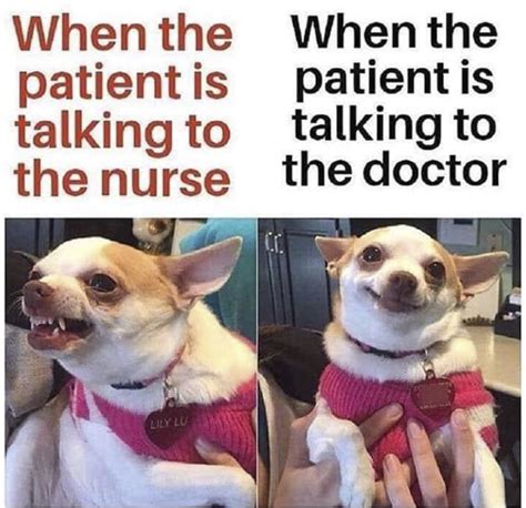 These Hilarious Memes About Nurses Prove That Nurses Are Funny Too