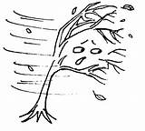 Windy Wind Clipart Weather Coloring Drawing Pages Kids Colour Clip Tree Lessons Trees Colouring Storm Line Gif Cliparts Color Drawings sketch template