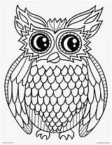 Owls Potter sketch template