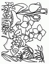 Spring Coloring Pages Printable Kleurplaten Flower Bezoeken sketch template