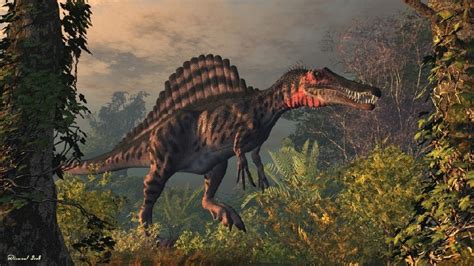 spinosaurus pictures facts  dinosaur
