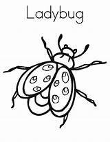 Coloring Bug Pages Ladybug Printable Insect Lightning Kids Print Bugs Template Color Noodle Twisty Insects Printables Twistynoodle Clipart Books Favorites sketch template