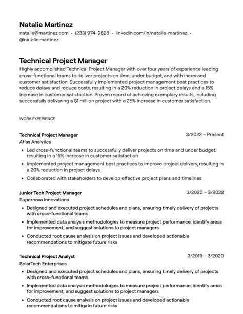 technical project manager resume examples  guidance