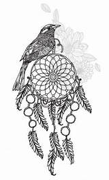 Dreamcatcher Acchiappasogni Americani Nativi Disegno Sonhos Apanhador Atuttodonna sketch template