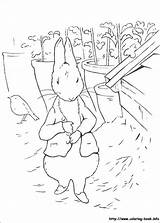 Coloring Peter Rabbit Pages Beatrix Potter Print Dinokids sketch template